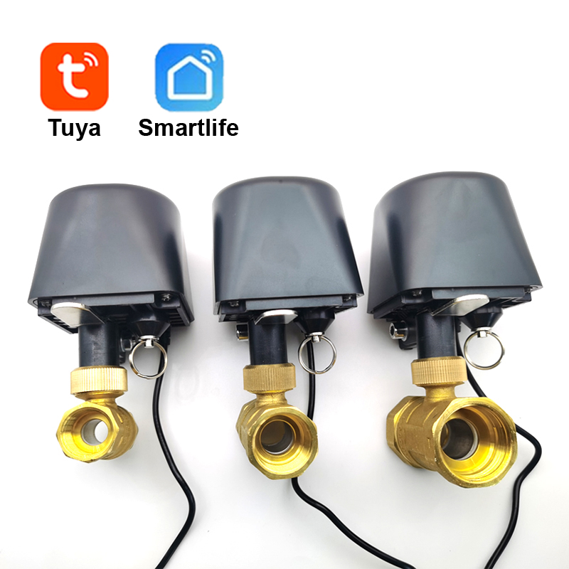 Smart Home Google Assistant - Tuya WiFi or Zigbee Water Valve