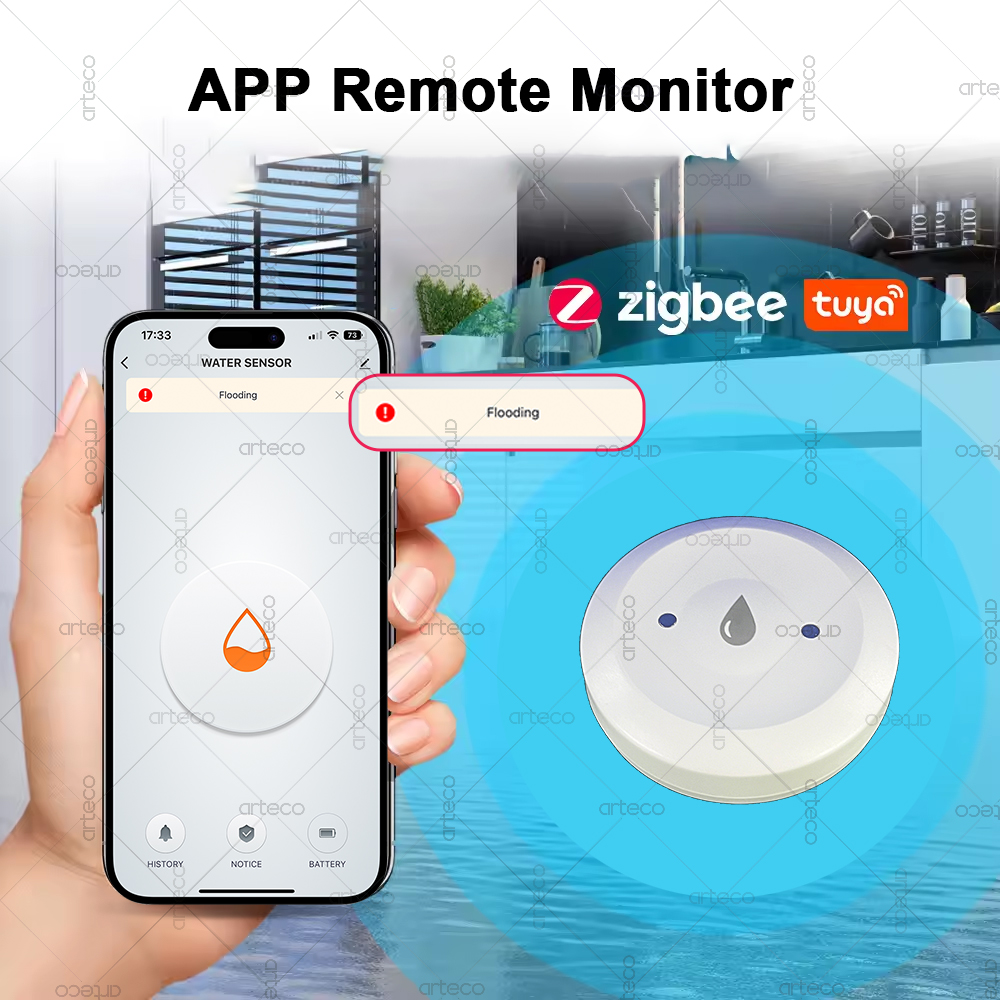 Tuya Smart Zigbee Water Sensor - Smart Home Tools review and price