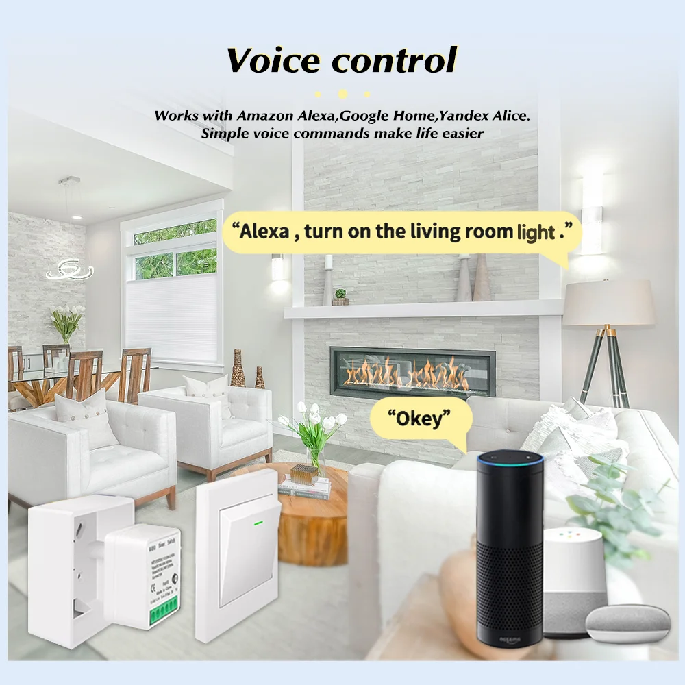 For Tuya Mini Smart WiFi Switc - Smart Home Google Assistant review and price