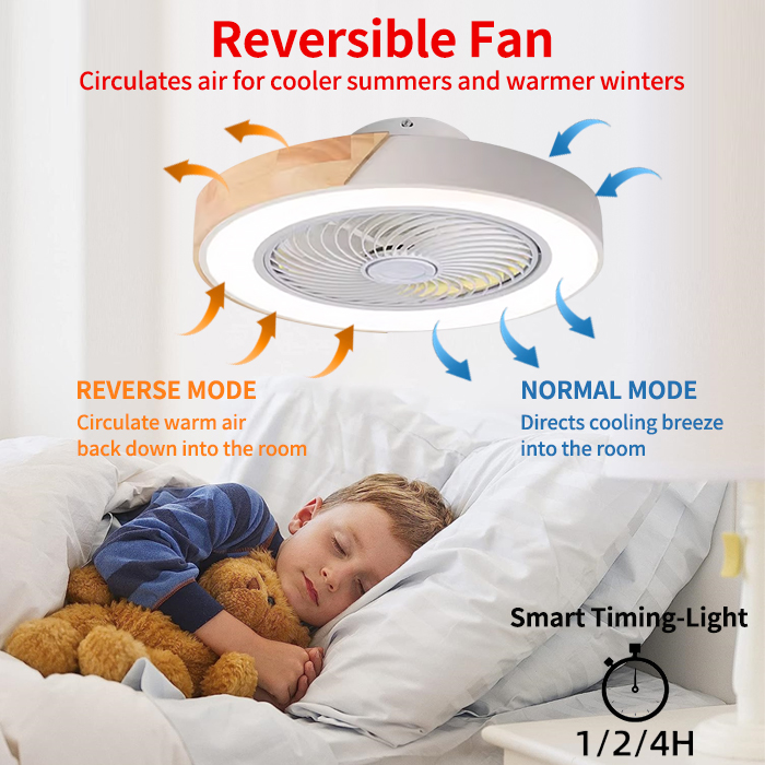 Bedroom Ceiling Fan Light, Int - Smart Ceiling Fan review and price
