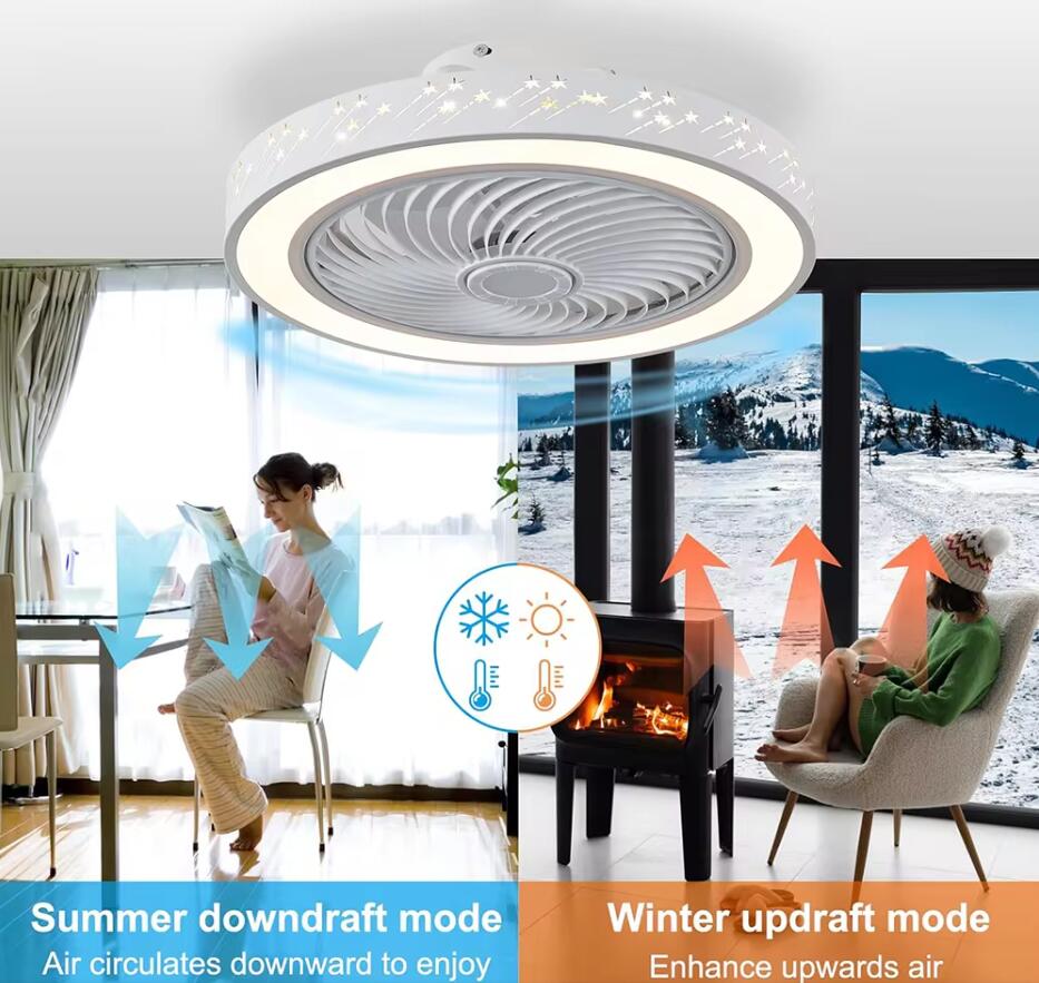 46CM Smart App Ceiling Fan wit - Smart Ceiling Fan review and price