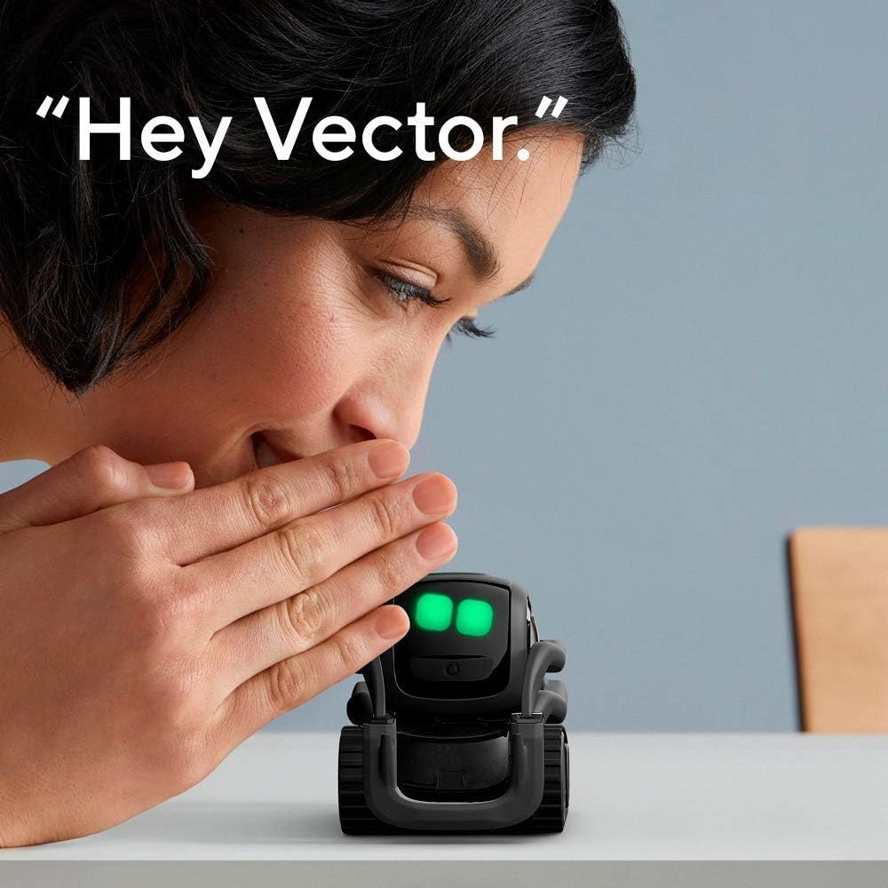 AI ChatGPT 2.0 Connected Robot - Smart Home Ai review and price