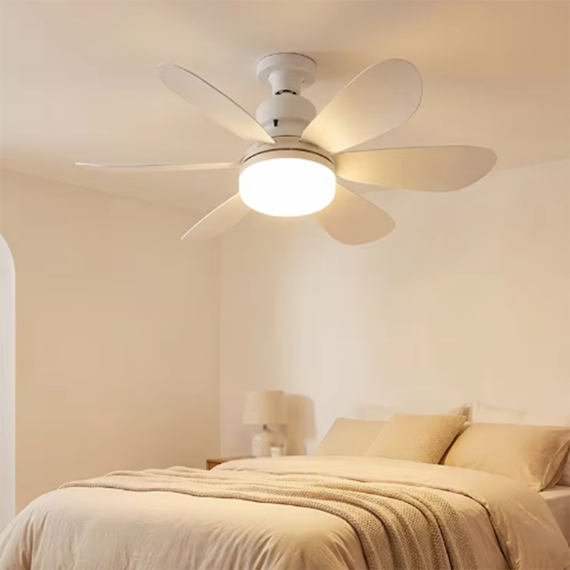 2026 Home E27 LED Ceiling Fan  - Smart Ceiling Fan review and price