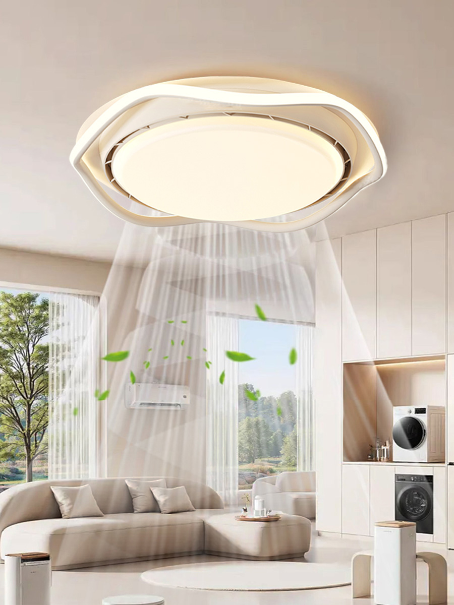 2026 New Smart Silent LED Ceil - Smart Ceiling Fan review and price