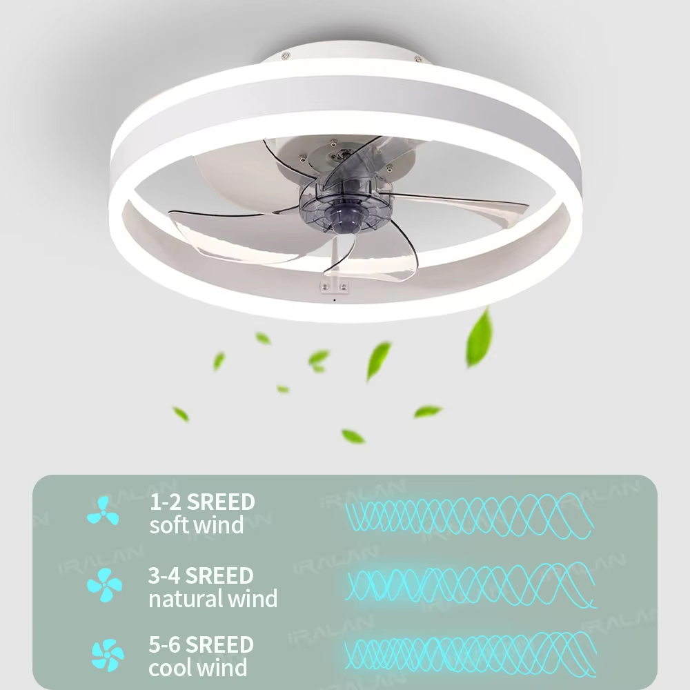 Smart Ceiling Fan with Lights  - Smart Ceiling Fan review and price