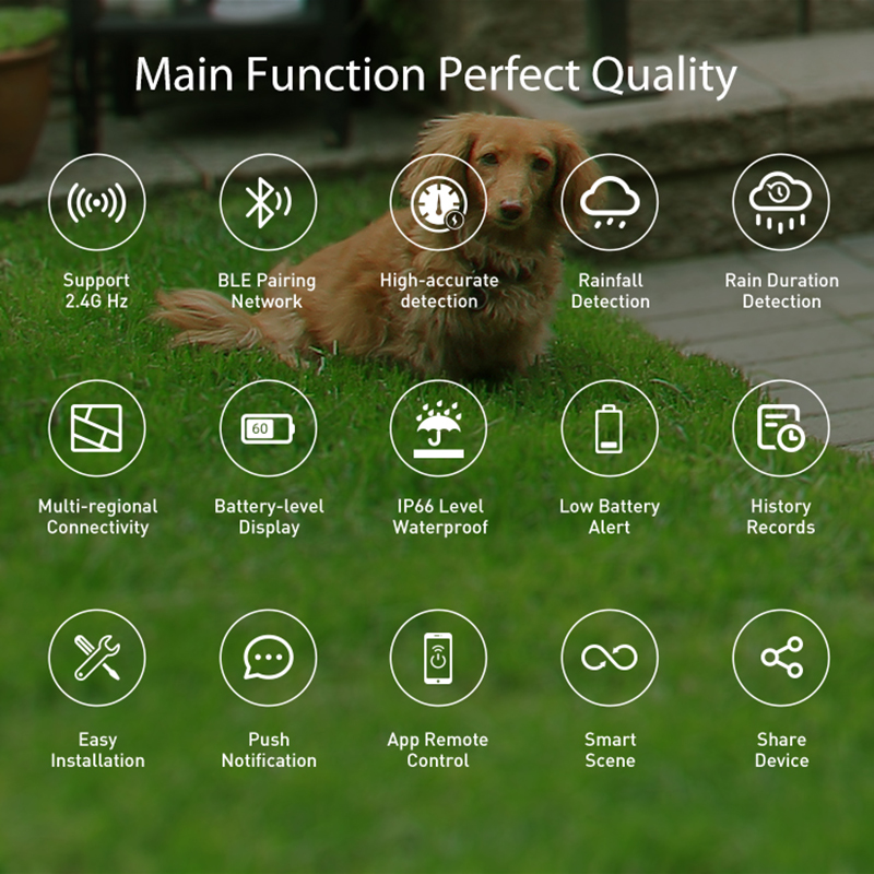 WiFi Rain Sensor Rainfall Dura - Smart Home Nas review and price