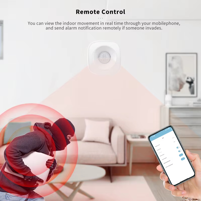 Tuya ZigBee/WiFi PIR Motion Se - Smart Home Google Assistant review and price