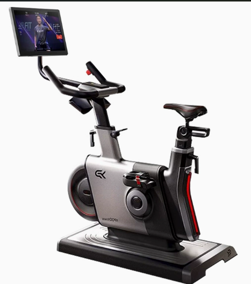 Steel for Bike LCD Display Mag - Smart Home Uses review and price